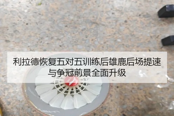 利拉德恢复五对五训练后雄鹿后场提速与争冠前景全面升级